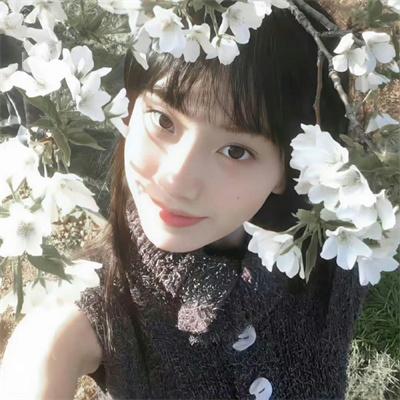 麻辣变形计DVD版